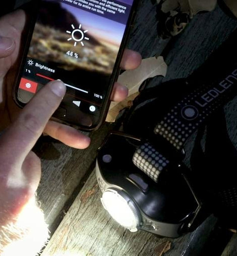 11605.jpg
