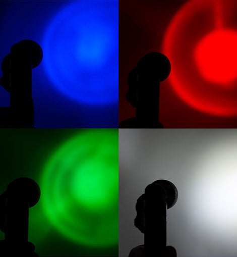 22786.jpg