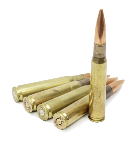 23119.jpg