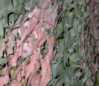 5301.jpg